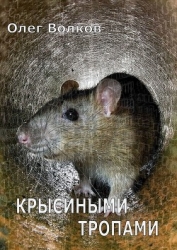 Крысиными тропами (СИ)