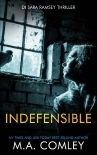Indefensible (DI Sara Ramsey Book 12)
