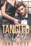 Tangled with the CEO: The Hunter Brothers book # 3