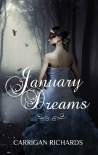 January Dreams
