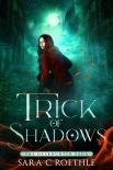 Trick of Shadows (The Duskhunter Saga Book 2)