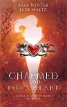 Charmed By The Fox's Heart: Superhero Reverse Harem Romance (Cosmic Guardians Book 1)