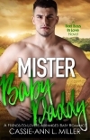 Mister Baby Daddy (Bad Boys in Love Book 3)