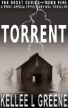The Reset Series | Book 5 | Torrent