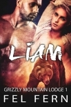 Liam: A MM Mpreg Shifter Romance (Grizzly Mountain Lodge Book 1)