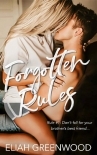 Forgotten Rules: A Brother's Best Friend Romance