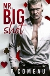 Mr. Big Shot: An Enemies To Lovers Romance (Kinda Cocky Book 1)