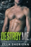 Destroy Me (Southern Nights: Enigma Book 3)