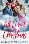 All I Want For Christmas: Holiday Romance