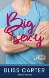 Big Sexy: Mercy Springs Heroes Series Book 1