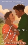 Finding Joy: A Gay Romance