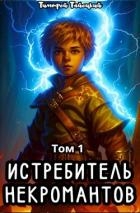 Истребитель некромантов. Том 1 (СИ)