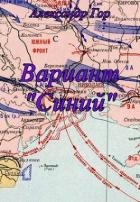 Вариант "Синий" (СИ)