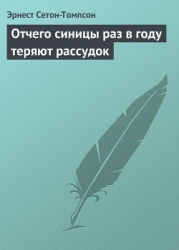 Отчего синицы раз в году теряют рассудок