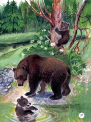Купание медвежат