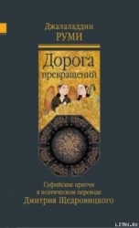 Дорога превращений. Суфийские притчи